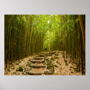 The Path Poster