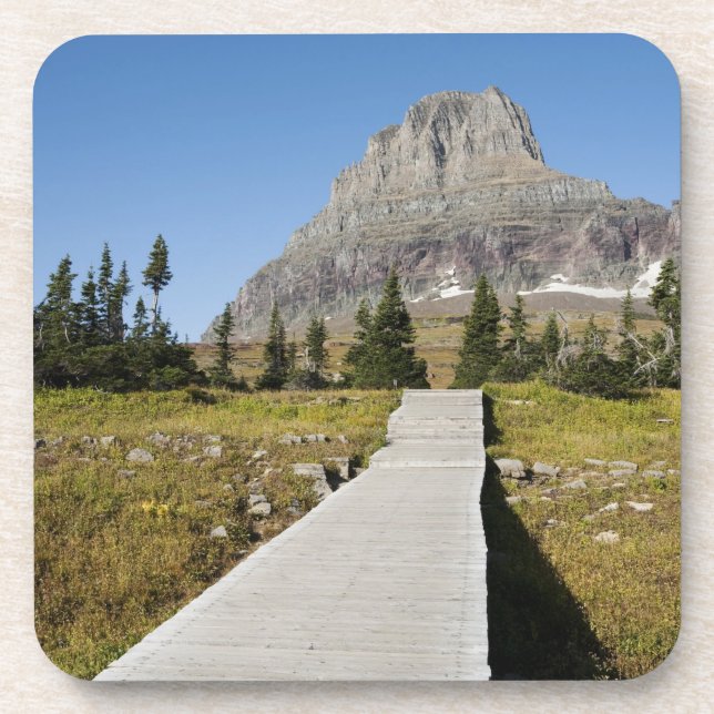 The pathway to the view of Hidden Lake Coaster (Front)