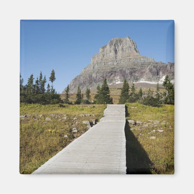The pathway to the view of Hidden Lake Magnet (Front)
