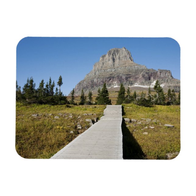 The pathway to the view of Hidden Lake Magnet (Horizontal)