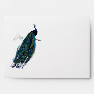 The Peacock Collection Envelopes