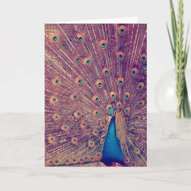 The Peacock Greeting Card (Front)