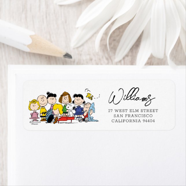 The Peanuts Gang | Baby Shower (Insitu)