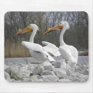 The Pelican Beak Mouse Mat
