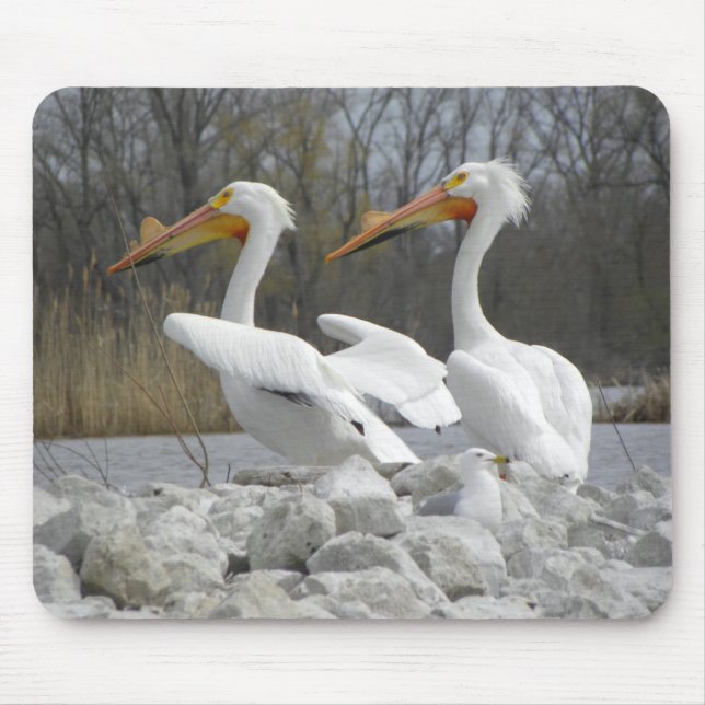 The Pelican Beak Mouse Mat (Front)