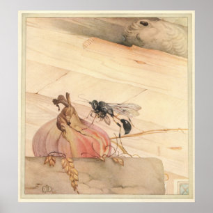 THE PELOPAEUS SPIRIFEX - Insect Book Illustration Poster