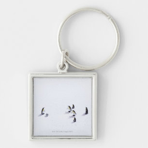 The penguins playing soccer key ring