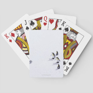 The penguins playing soccer playing cards
