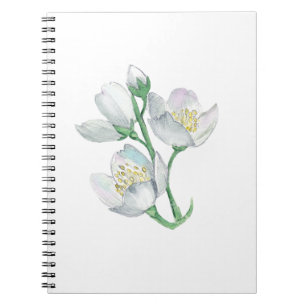 The Perfect Companion: Best Notebook for Every 