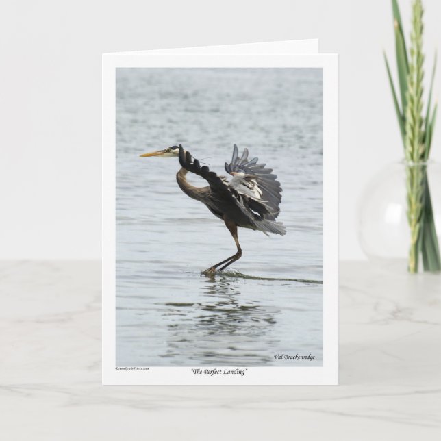 The Perfect Landing Blue Heron Gifts Holiday Card (Front)