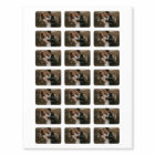 The perfect match Elegant & modern wedding photo