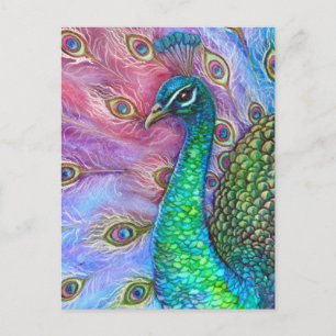 The Perfect Peacock. Postcard
