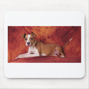 The perfect Pit Bull pose Mouse Mat