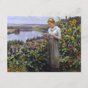 The Pet Dove Postcard - Daniel Ridgway Knight