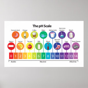 The pH Scale Poster