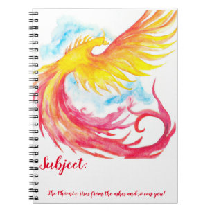 The Phoenix Notebook