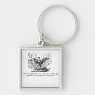 The Phoenix rising from his ashes Key Ring