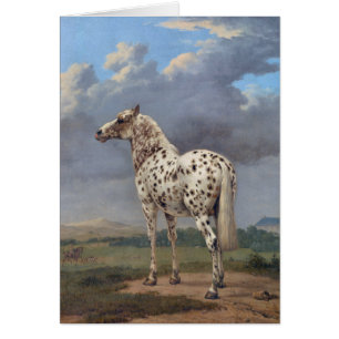 The Piebald Horse