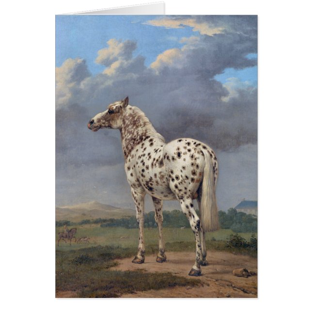 The Piebald Horse (Front)