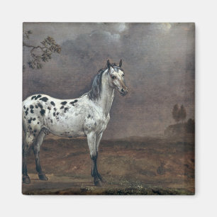 The Piebald Horse, 1653 Magnet