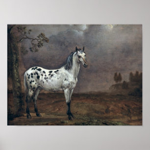 The Piebald Horse, 1653 Poster