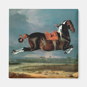 The piebald horse 'Cehero' rearing Magnet