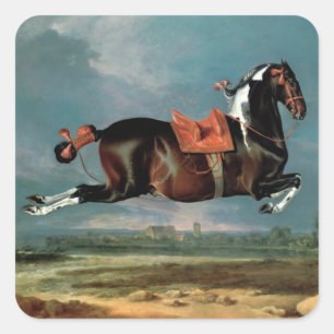 The Piebald Horse "Cehero' Rearing Square Sticker