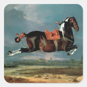 The piebald horse 'Cehero' rearing Square Sticker
