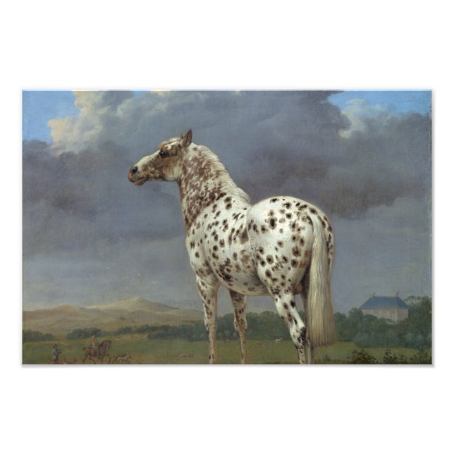 The Piebald Horse Photo Print (Front)