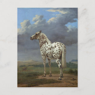 The Piebald Horse Postcard