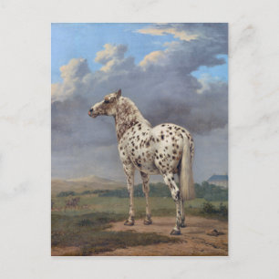 The Piebald Horse Postcard