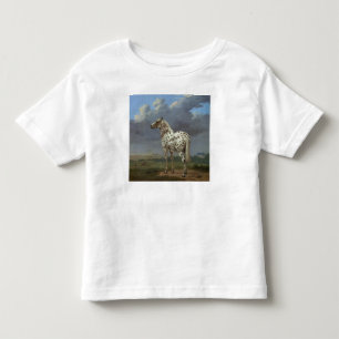 The Piebald Horse Toddler T-Shirt