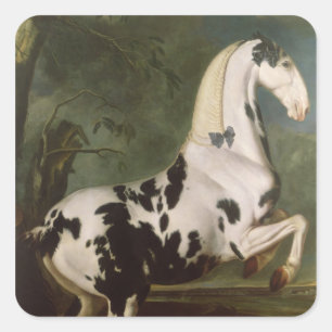 The Piebald Stallion at the Eisgruber Stud Square Sticker