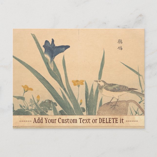 The Pied Wagtai and flower Kuwagata Keisai ukiyo-e Postcard (Front)