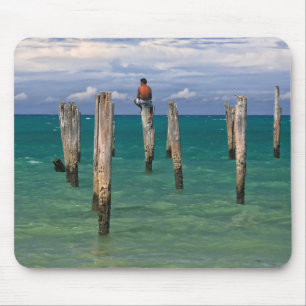 The Pier In Coqueiros Beach In Trancoso Mouse Mat