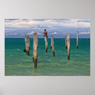 The Pier In Coqueiros Beach In Trancoso Poster