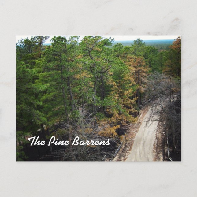 The Pine Barrens Postcard (Front)