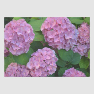 The pink Hortensia hydrangea bush  Tissue Paper