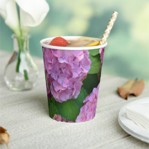 The pink Hortensia hydrangea  Paper Cups