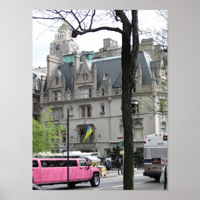 The Pink Limo Poster (Front)