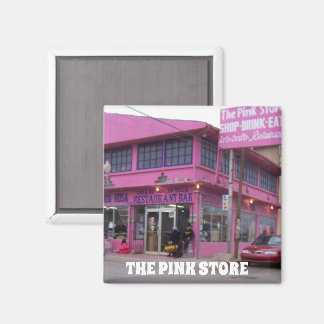 THE PINK STORE Palomas, Mexico MAGNET