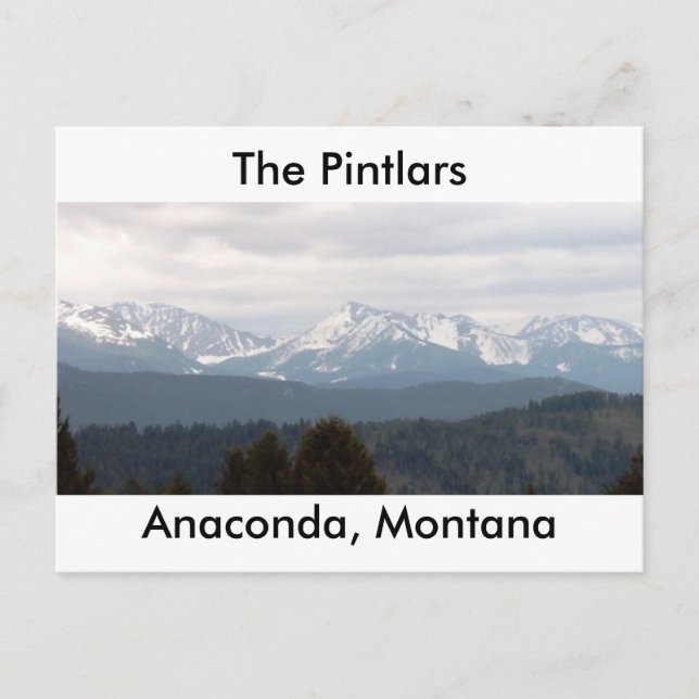 The Pintlars Postcard (Front)