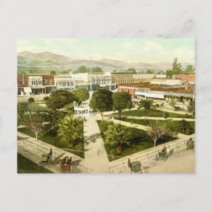 The Plaza in Healdsburg California Postcard