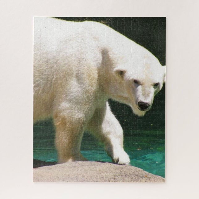 THE POLAR BEAR puzzle (Vertical)
