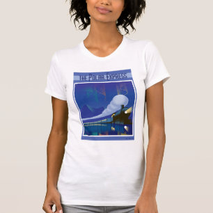 The Polar Express   Northern Lights Vintage Travel T-Shirt