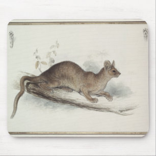 The Polecat, 19th century Mouse Mat