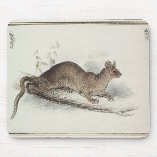 The Polecat, 19th century Mouse Mat (Front)