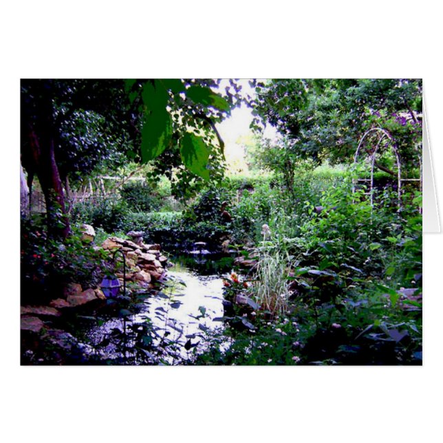 the pond (Front Horizontal)