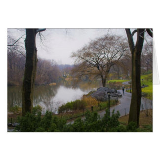 The Pond (2) - Central Park NYC