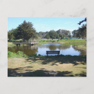 The Pond At Crab Cove Postcard